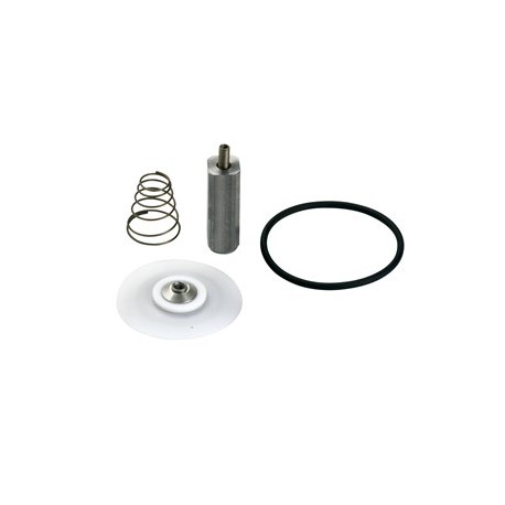 Kit Repuesto para EV225 15 PTFE