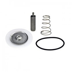 Kit Repuesto para EV225 20/25 PTFE
