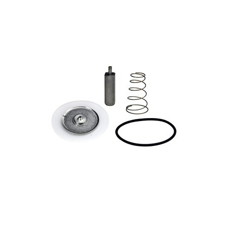 Kit Repuesto para EV225 20/25 PTFE