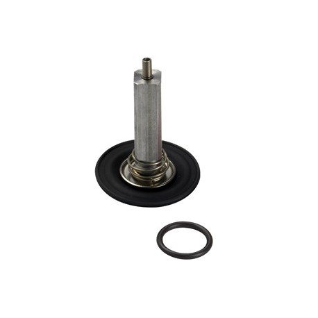 Kit Juego de reparación para EV250B 10-12 BD