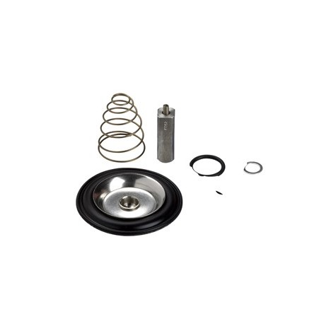 Kit repuesto reparación para EV220B 25BD/SS EPDM