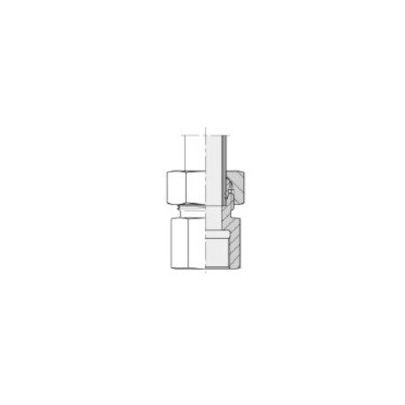 Union Racord recto Hembra rosca GAS cilindrica Tipo L Tubo 12 Rosca 1/4"