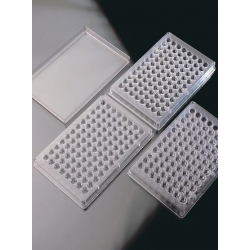 Microtiter Fondo U B/U
