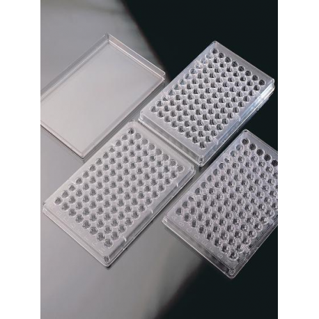 Microtiter Fondo U B/U