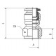 RECTO HEMBRA 3 M5