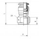 RECTO HEMBRA 12 3/8