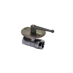 DOBLE H. RECTA BSP CILINDR. G1/4