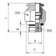 RECTO CILINDRICO MACHO TORICA FKM 10 1/4