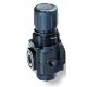 Regulador Excelon G1/4" P.max 20 -34+80ºC sin escape R73G-2GK-RMN