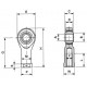 ROTULA AUTOLUB.INOX.25/32