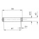 PERNO INOX. PARA CHARNELA 40