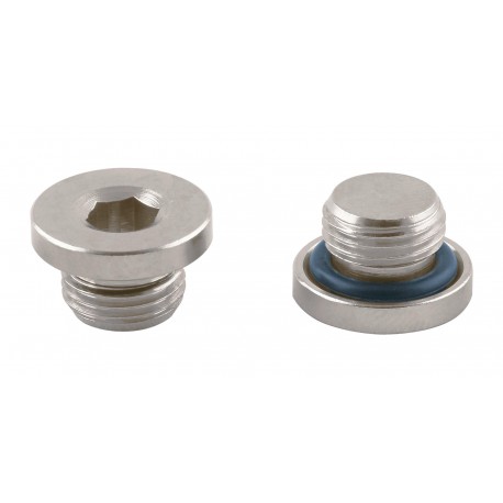 Tapón Hexagonal interior Allen Rosca Macho Cilíndrico con junta Tórica 1/4 Ref. AIGNEP 3015 1/4