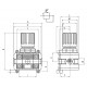 REGULADOR 0 1/4" 0-12 Bar