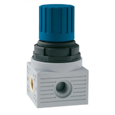 REGULADOR 1/8" PARA AGUA 0-8Bar