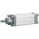 FKM VASTAGO INOX 40 100 ISO15552
