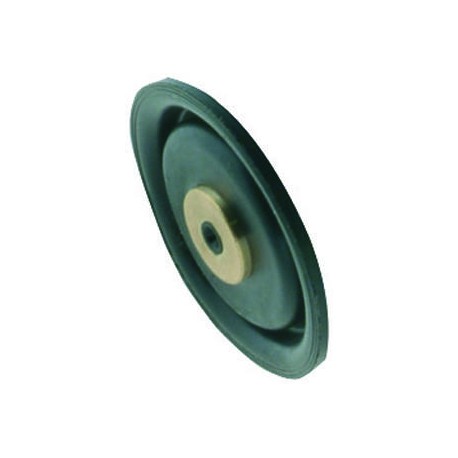 MEMBRANA FRL 2