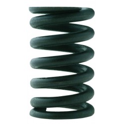MUELLE REGULACION G0 0-2 BAR
