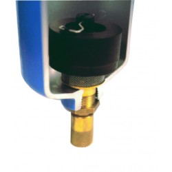 PURGA AUTOMATICA