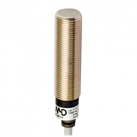 Detector AM1/AP-1A
