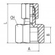 Racord Recto rosca Hembra BSP Cilíndrico Ø10mm G1/4 Ref. Aignep 13500 10 1/4