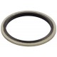 ARANDELA BIMATERIAL ACERO-NBR 1"