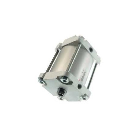 CILINDRO COMPACTO ISO INTERFACE D.125 C.900