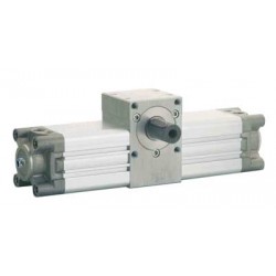 CIL.ISO 15552 ROTATIVO MACHO Ø100 R.360º