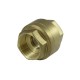 Válvula Retención disco GESTRA roscada MB14 LATÓN/ss DN20 3/4" BSP