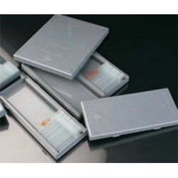 Caja 50 Portaobjetos Gris