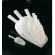 Cuchara de Medida PE 25ml