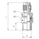 Racord Recto Orientable Giratorio Cónico Macho RDG10-1/4 Ref. 1010 10/8 1/4