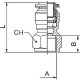 RECTO HEMBRA 10 3/8