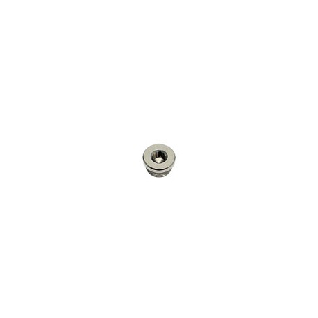 Tapón Hexagonal interior Rosca Macho Cilíndrico BSP y métrica Ø18mm 1/4 Ref. LEGRIS 0919 00 13
