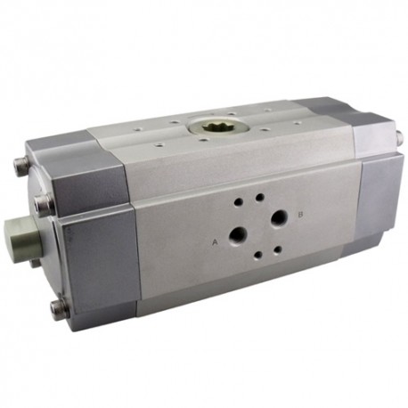 Unidad Giratoria DFPB-110-090-S4-F0710