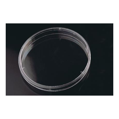 Placas Petri 140x20mm