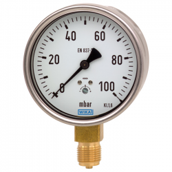 Manometro de capsula ejecucion robusta 612.20.100 -1000.0mmH2O 1/2"NPT Salida Vertical