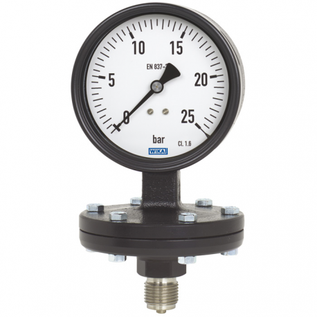 Manómetro de membrana 422.12.100 Ø100mm 2,5Bar G1/2"B Salida Vertical con Líquido de Llenado Cl.1,6
