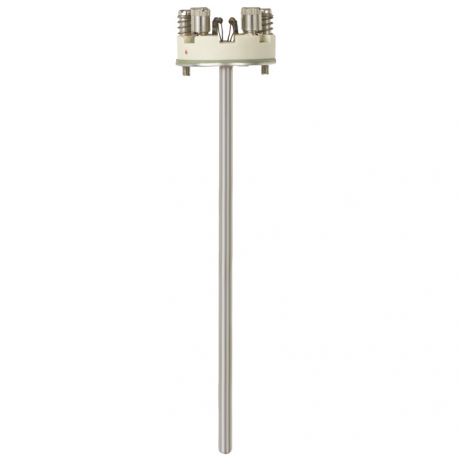 Unidad de medida extraible para termorresistencias Modelo TR10-A 2xPt100 2h L-350mm
