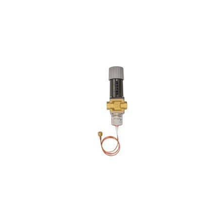 Válvula de agua controlada por presión WVFX 25 003N4100