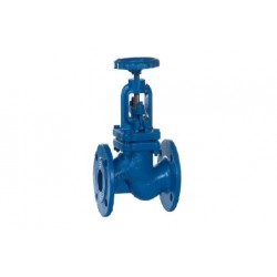 Valvula de Globo ASIENTO con bridas interno inox con Obturador cierre y retencion 241LK PN16 DN25